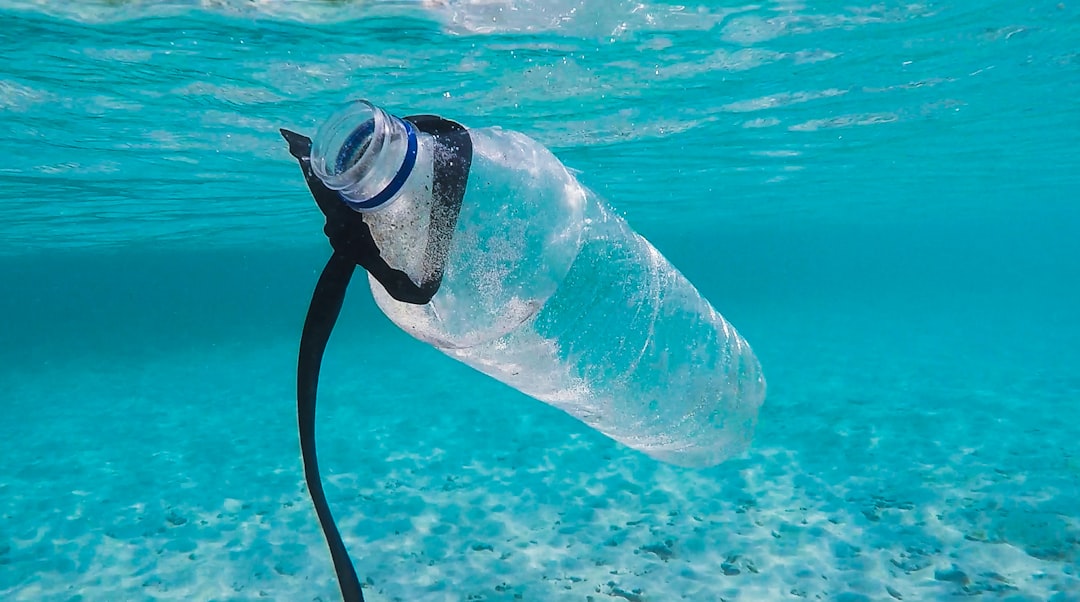 5 Ways Single-Use Plastic Is Hurting Our Planet