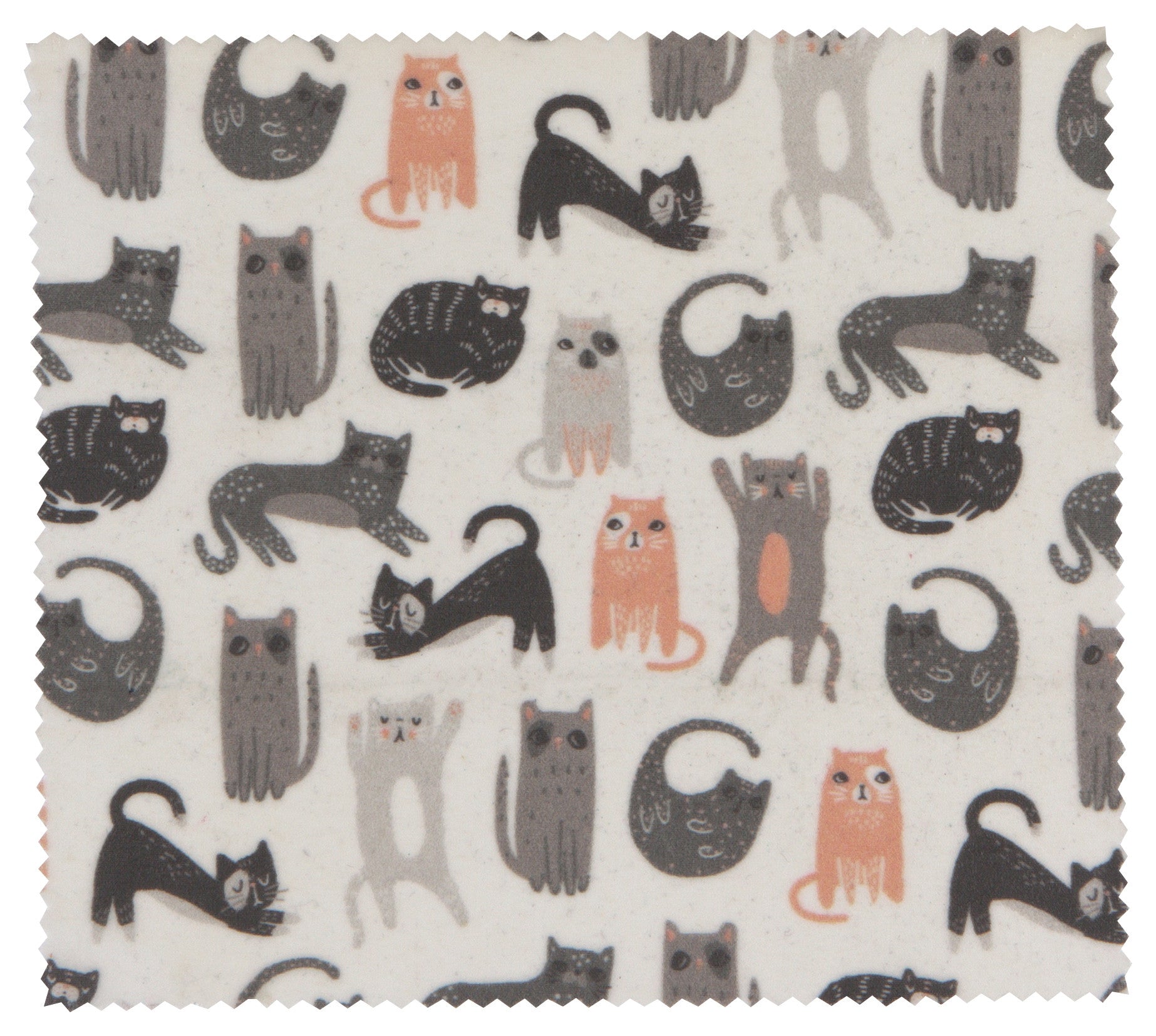 Cats Beeswax Wrap (Set of 3)